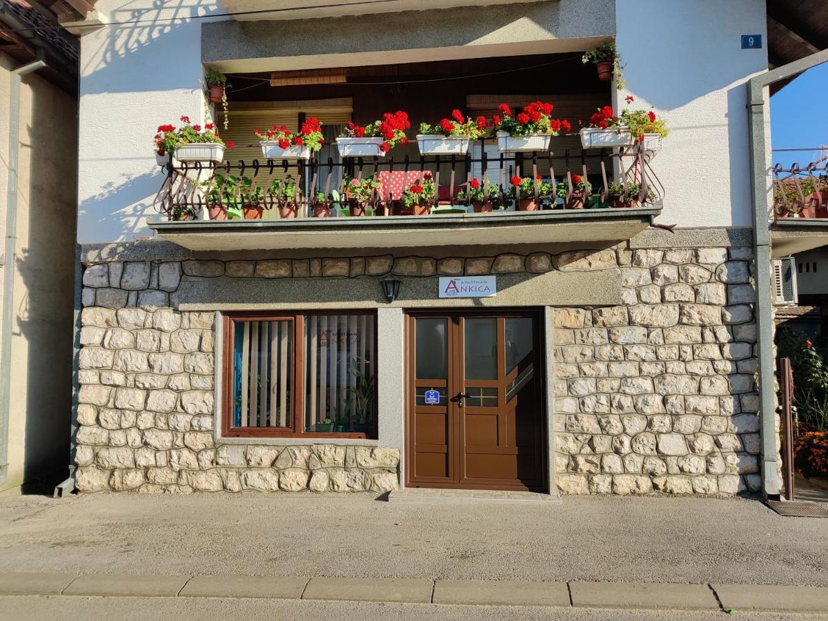 Apartman Ankica Golubac Exteriör bild